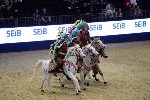Quadrille - 00288